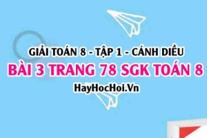 Giải bài 3 trang 78 Toán 8 Tập 1 SGK Cánh Diều